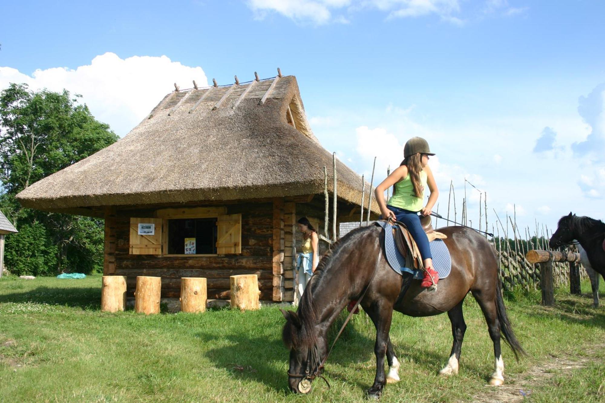 הוילה Tammese Anni Tourism Farm מראה חיצוני תמונה