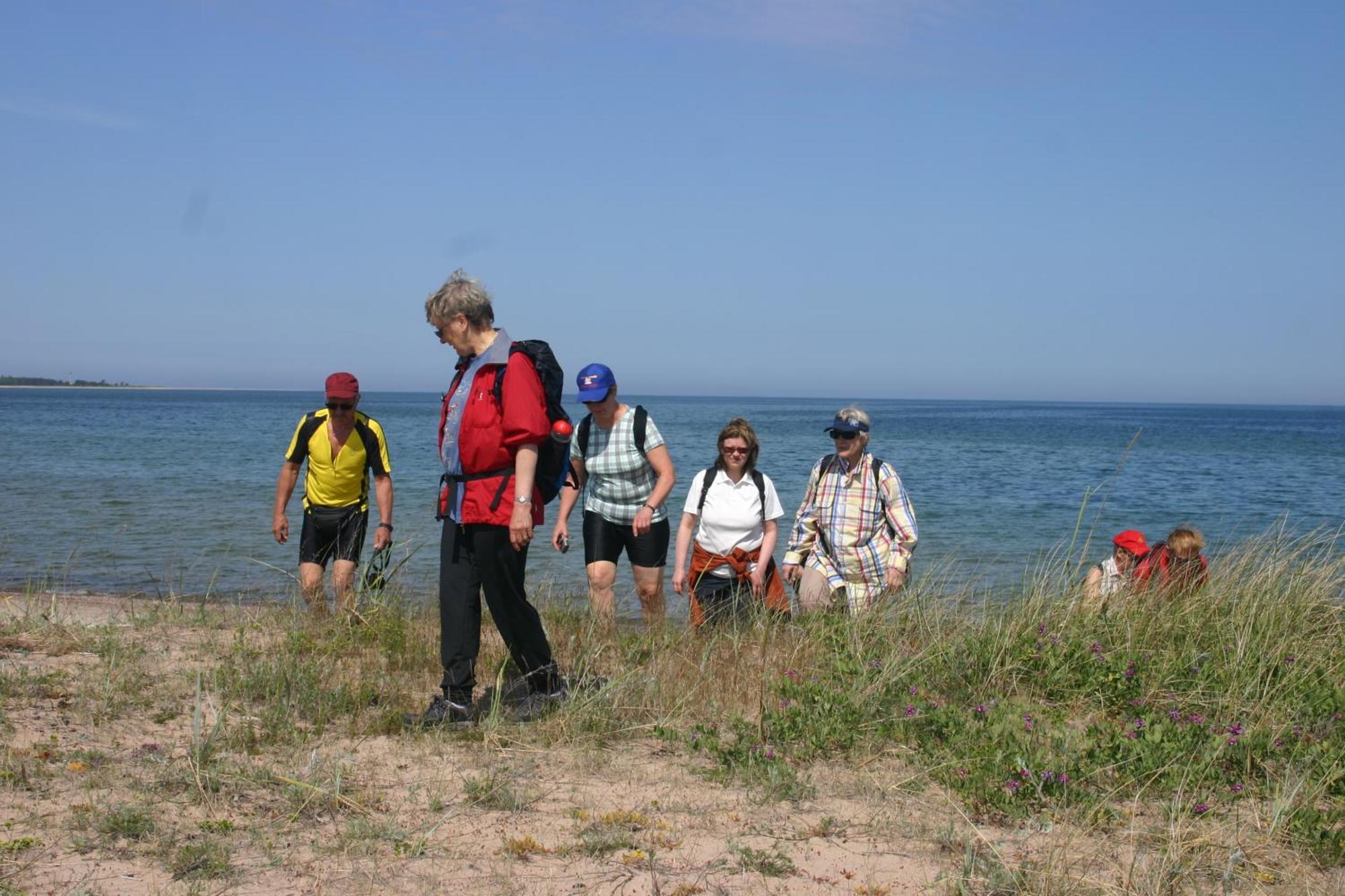 הוילה Tammese Anni Tourism Farm מראה חיצוני תמונה