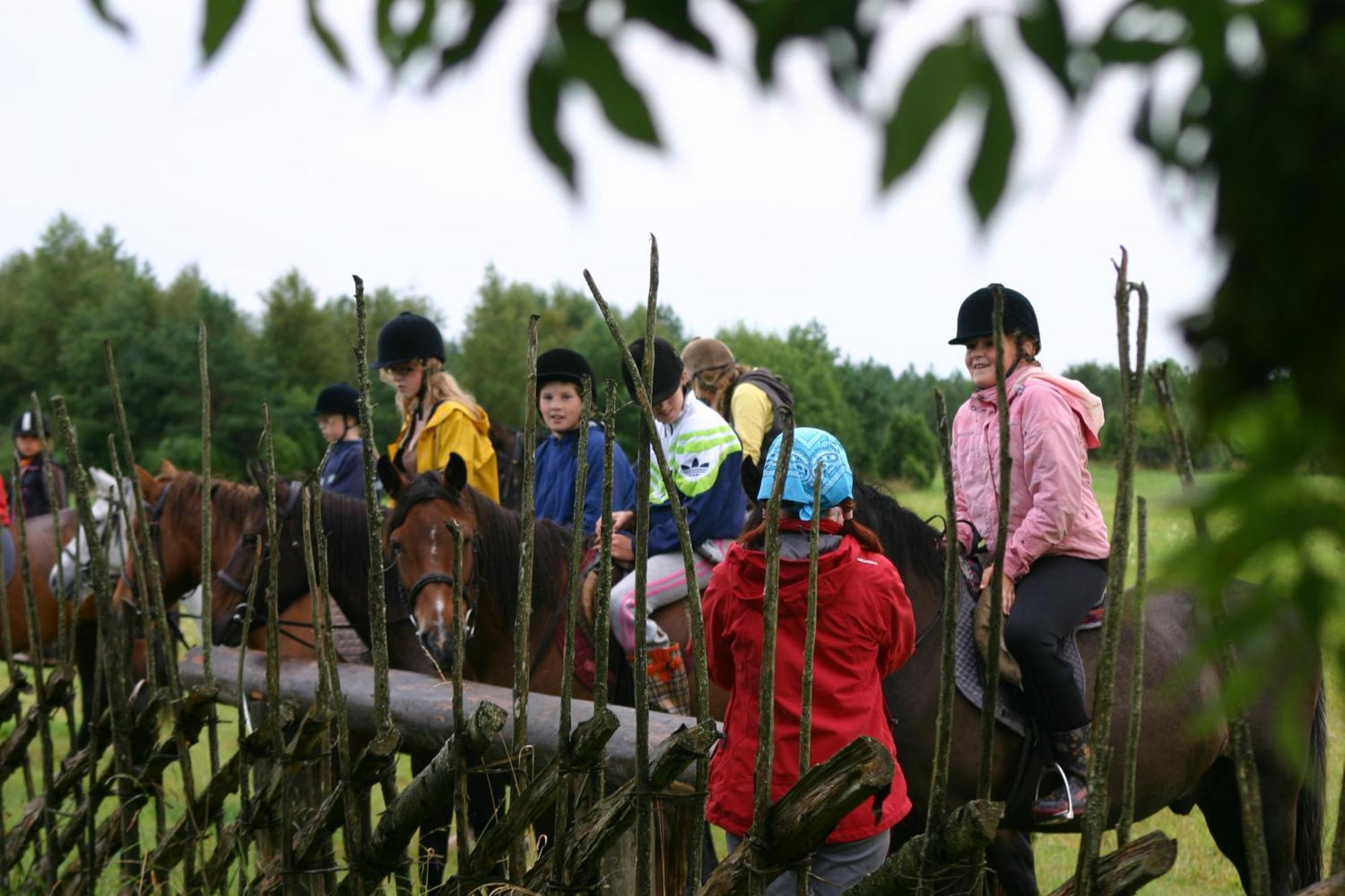 הוילה Tammese Anni Tourism Farm מראה חיצוני תמונה