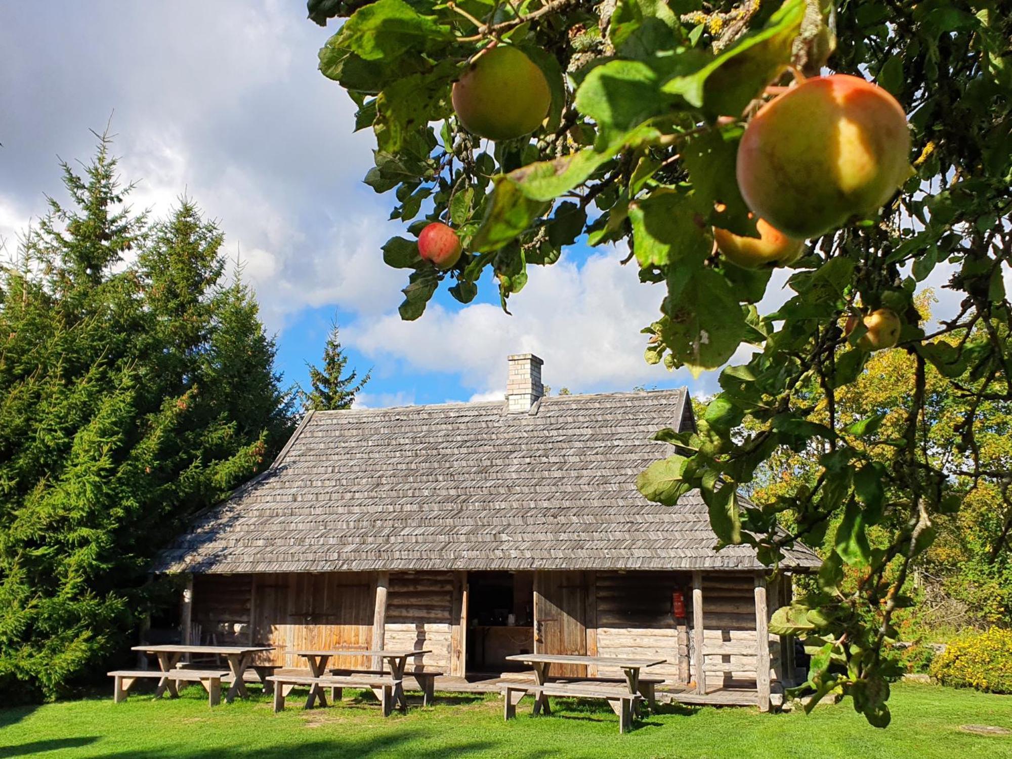 הוילה Tammese Anni Tourism Farm מראה חיצוני תמונה